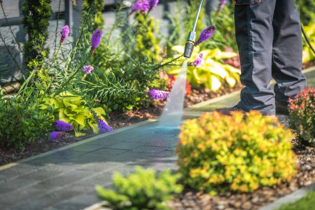 Professional Pressure Washing Services in Port Orange, FL